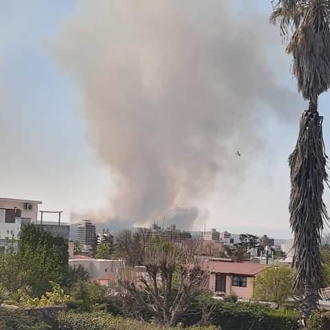 WhatsApp Image 2020-09-30 at 4.46.06 PM