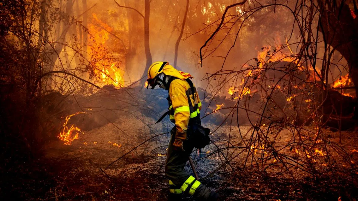 WhatsApp-Image-2025-02-12-at-18.02.30-1140x641